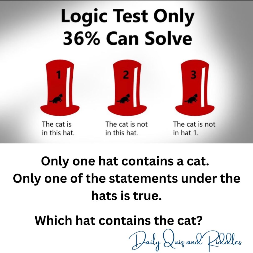 which hat contains the cat?