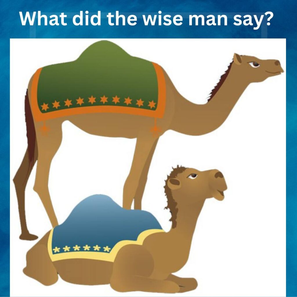 what did the wise man say?